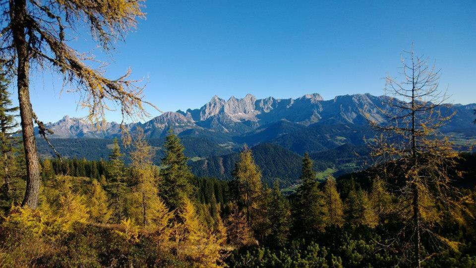 Ferienhaus Lechnerhof سخلادميخ المظهر الخارجي الصورة