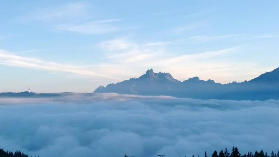 Ferienhaus Lechnerhof سخلادميخ المظهر الخارجي الصورة