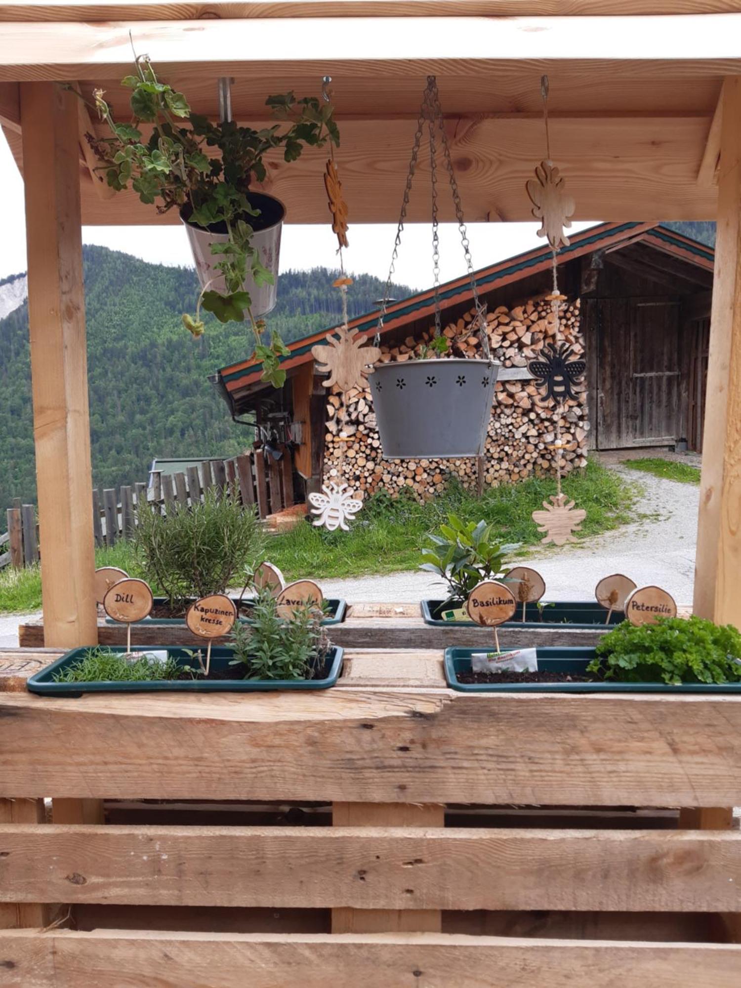 Ferienhaus Lechnerhof سخلادميخ المظهر الخارجي الصورة